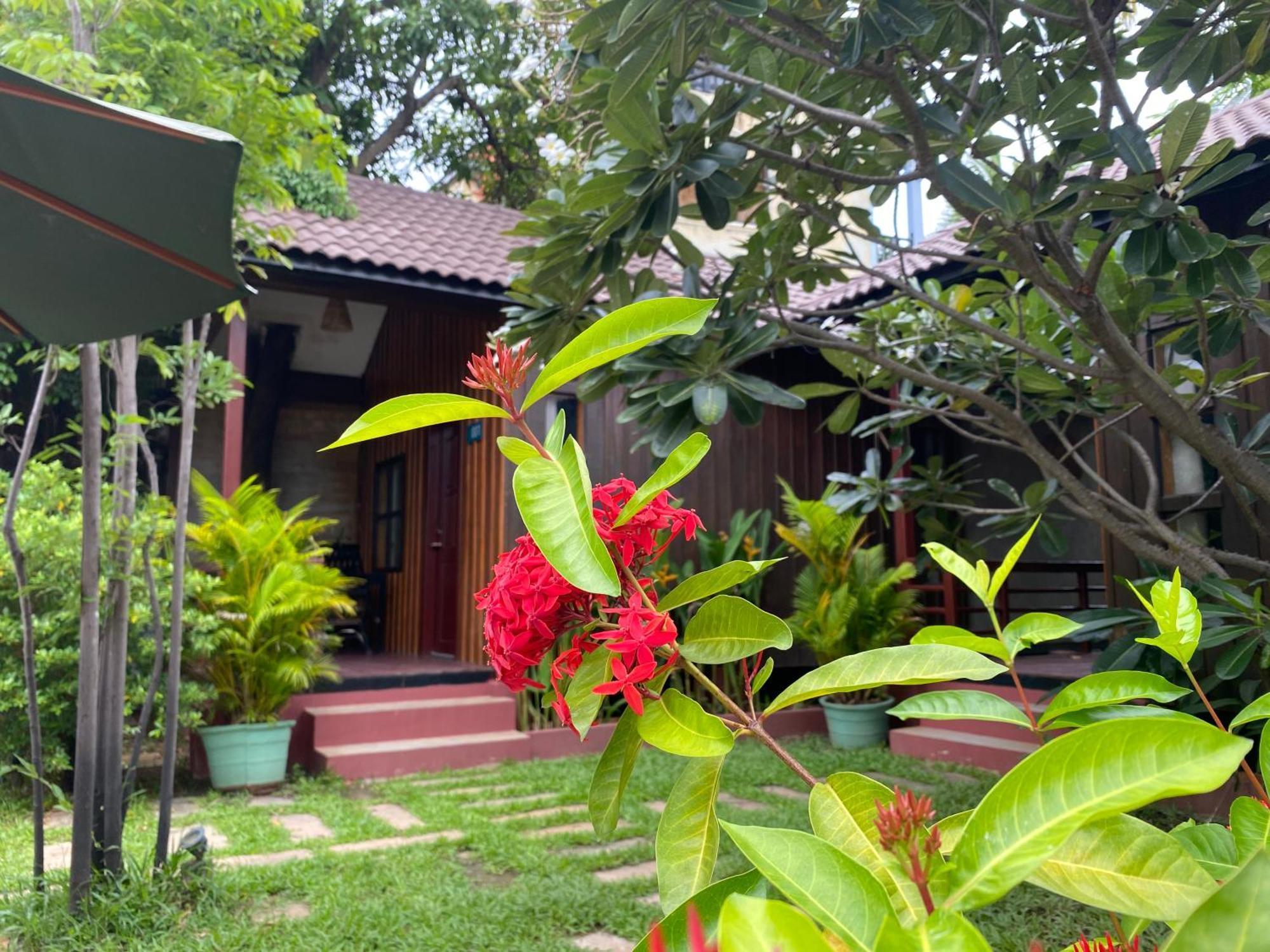 Habana Angkor Boutique Hotel Siem Reap Luaran gambar